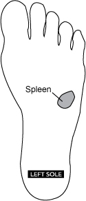 spleen reflexology point
